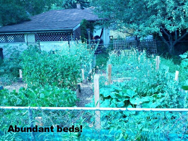 abundant beds sized