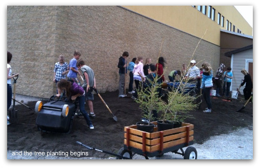 waldorf tree planting picnik