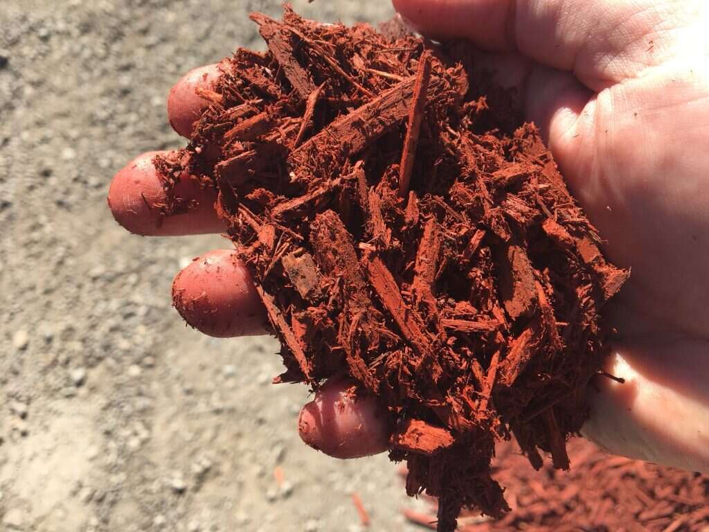 Reasons Why Your Yard Needs Mulch Soil Kings