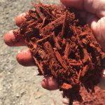 Reasons Why Your Yard Needs Mulch