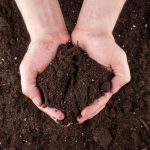 Screened vs. Unscreened Soil - Soil Kings - Bulk Landscape Supplies Calgary