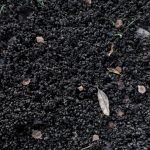Worm Casting - Soil Kings - Bulk Landscape Supplies Calgary