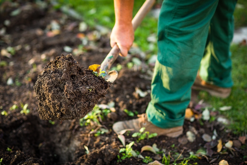 How to Engineer Your Garden - Soil Kings - Soil Products in Calgary