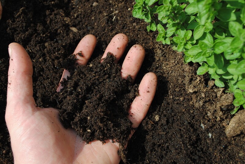 Everything You Need to Know About Worm Castings - Soil Kings - QUALITY BULK LANDSCAPE SUPPLIES