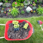 Landscaping Season is On! Do You Have the Materials You Need? - Soil Kings - Bulk Landscape Supplies Calgary