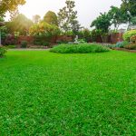 Benefits of Topdressing Your Lawn - Soil Kings - Bulk Landscape Supply Calgary