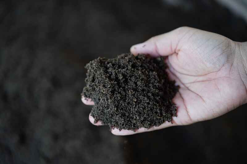 Why Worm Castings Are Nature's Perfect Plant Food - Soil Kings - Bulk Landscape Supplies Calgary