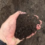 Why Picking Up from Soil Kings Is So Easy - Soil Kings - Bulk Landscaping Supplies - Featured Image