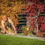 Protecting Your Landscaping Before Winter Hits - Soil Kings - Bulk Landscape Supplies Calgary - Featured Image