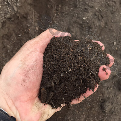 Aged Compost