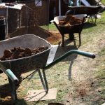 Using Clay Effectively - Soil Kings - Bulk Landscaping Supplies - Featured Image