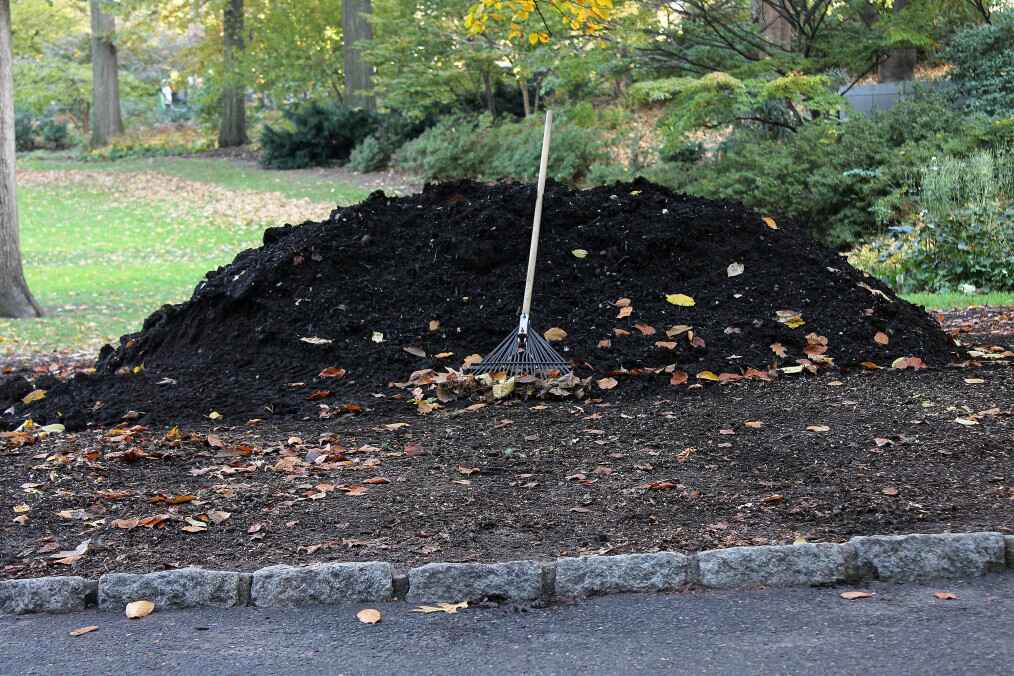 Why Use Compost in Your Spring Vegetable Garden? - Soil Kings - Bulk Landscape Supplies - Featured Image
