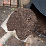 When and Why to Add Compost to Your Garden