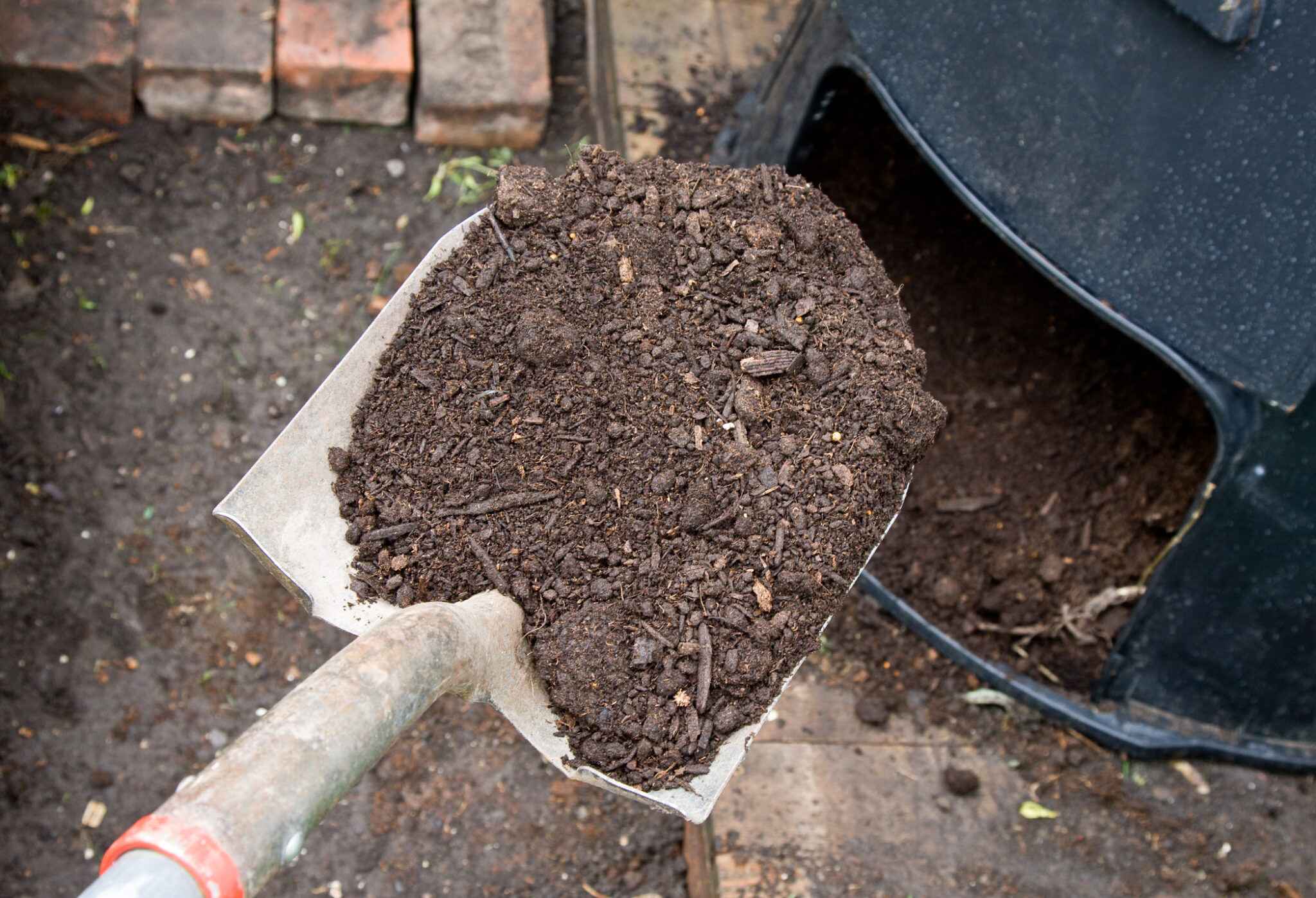 When & Why to Add Compost to Your Garden Soil Kings