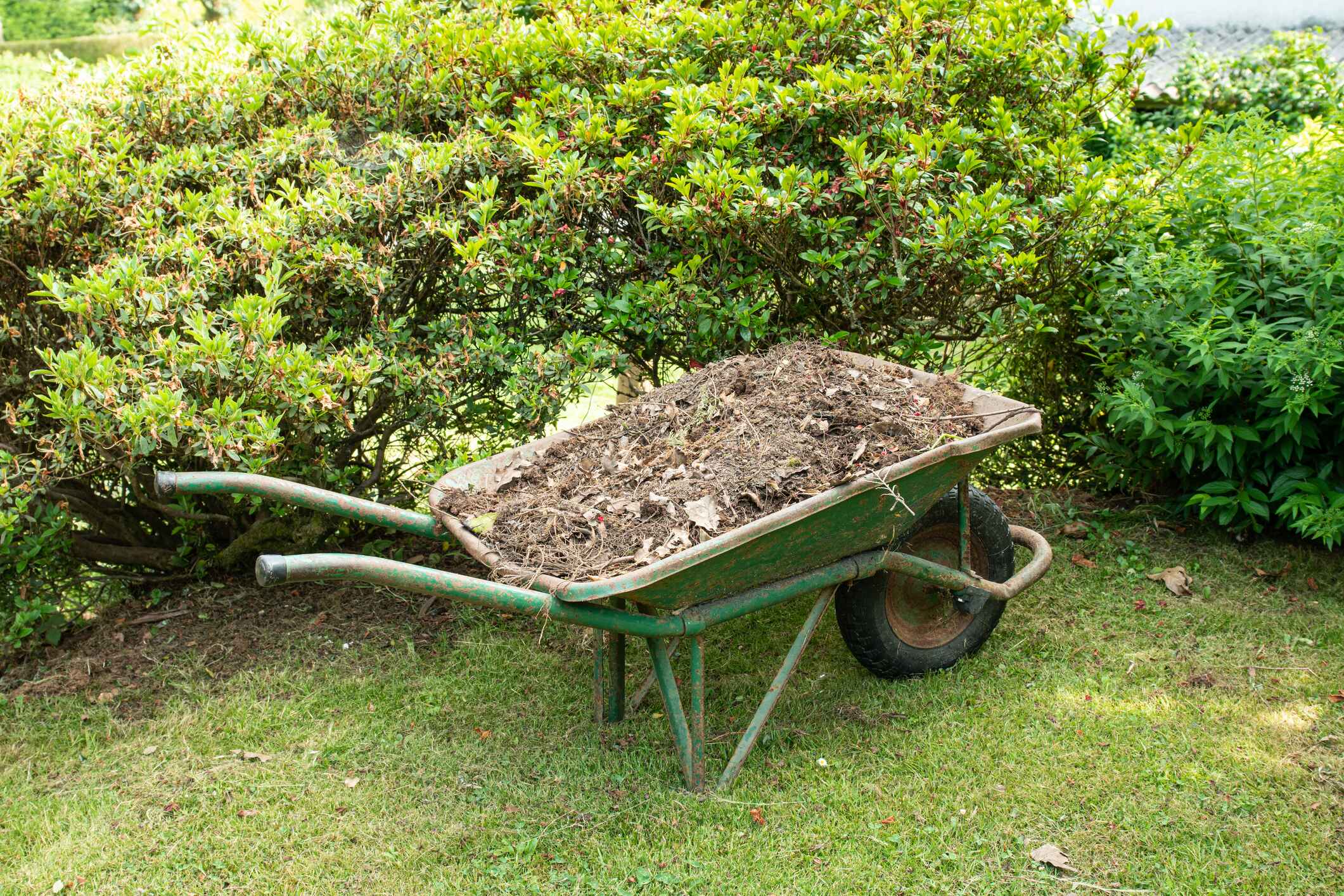 When to Add Compost to Your Perennial Garden