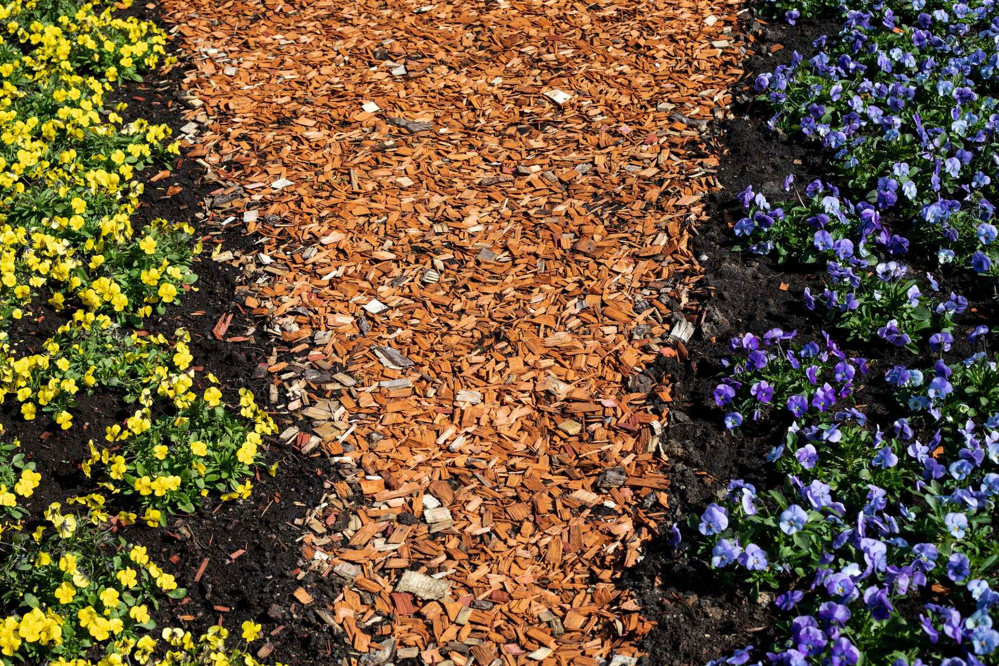 Mulching Tips Every Gardener Should Know Soil Kings
