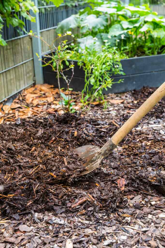 Manage Soil Conditions with Mulches Soil Kings