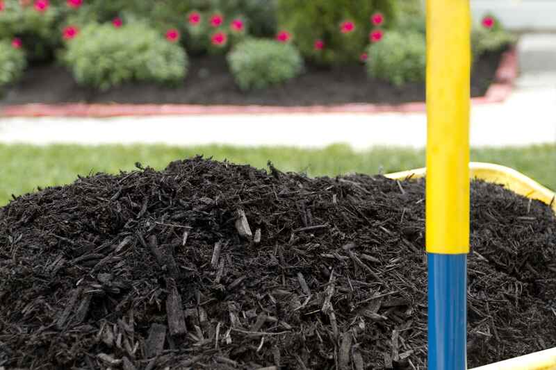 Spring Rules for Mulching Your Garden
