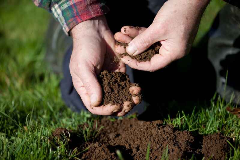 Guide to Different Soil Types