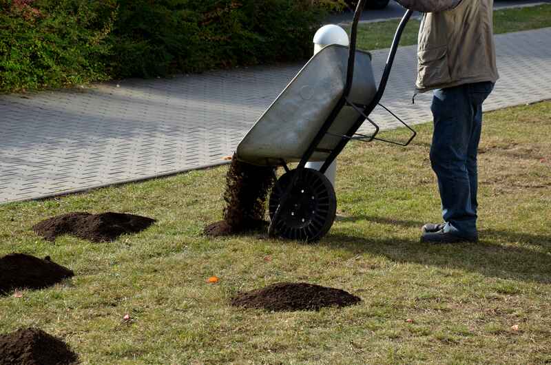 Top-Dressing Your Lawn