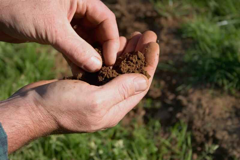 Improving your Soil Quality