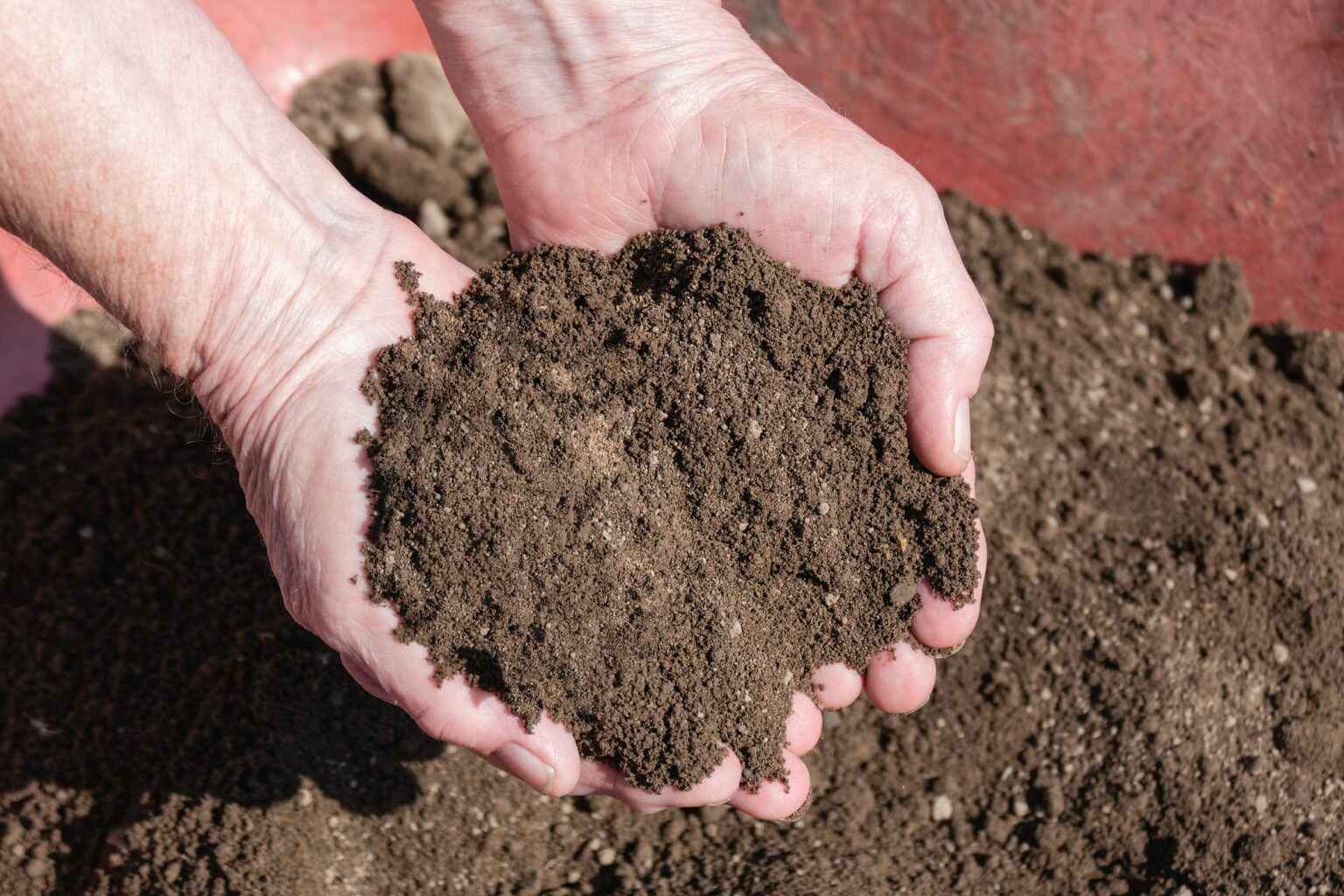 Benefits of Adding Screened Topsoil to your Lawn Calgary