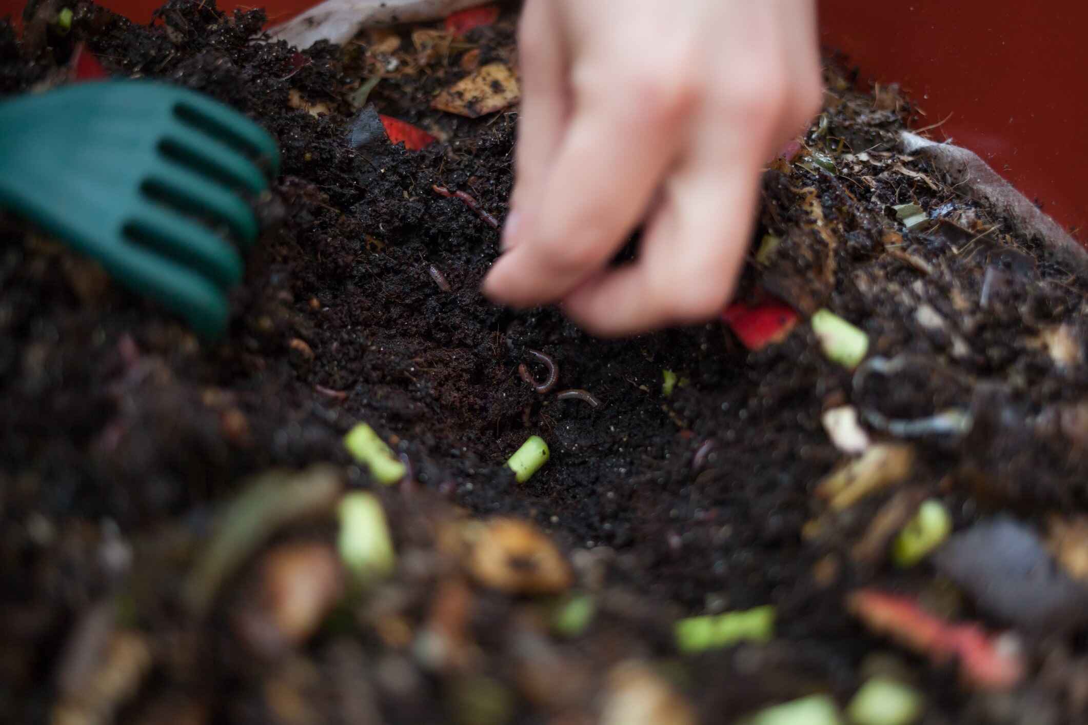Close up of persons hand doing a DIY Composting