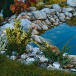 Installing and Maintaining Landscaping Rocks