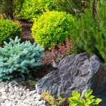 Landscaping Rocks to Enhance Your Home’s Curb Appeal