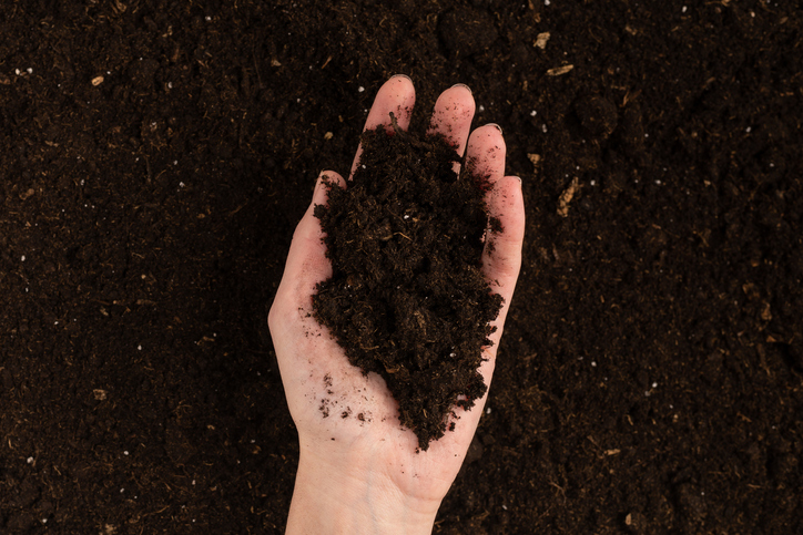 Storing and Using Screened Topsoil