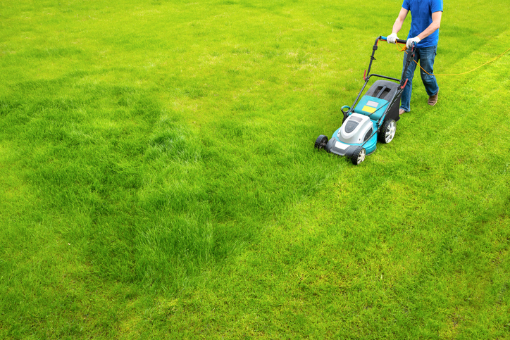 A man mows a green lawn on a sunny day. It's spring, and he's taking care of his yard.