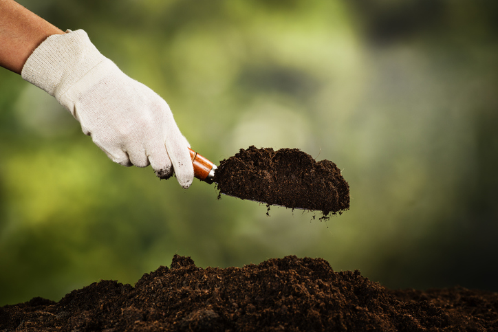 A hand testing the texture of garden soil.