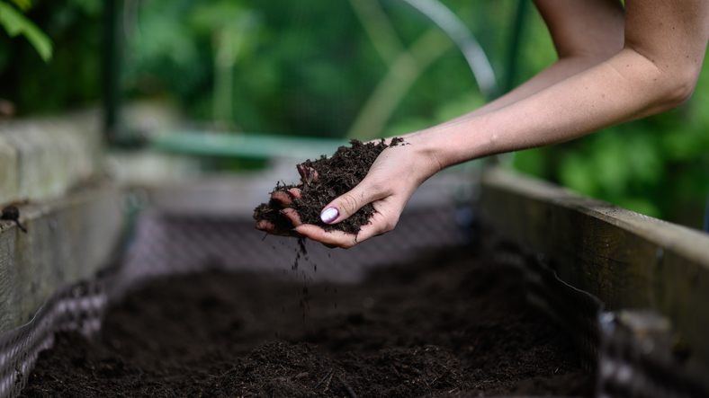 A gardener is preparing the best gardening soil mix to plant her vegetables.