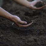 A person’s hands preparing the soil on how to make a flower bed in the garden.