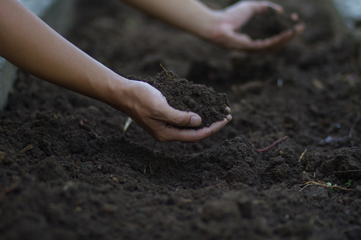 A person’s hands preparing the soil on how to make a flower bed in the garden.