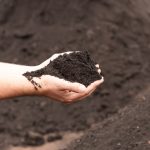 Handful of fertile topsoil with a pile of soil in the background, representing how much topsoil do I need for healthy gardens and landscaping.