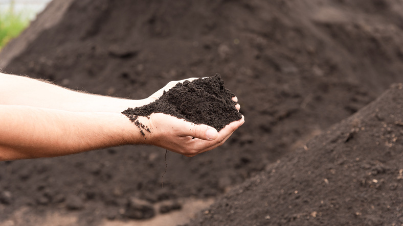 Handful of fertile topsoil with a pile of soil in the background, representing how much topsoil do I need for healthy gardens and landscaping.