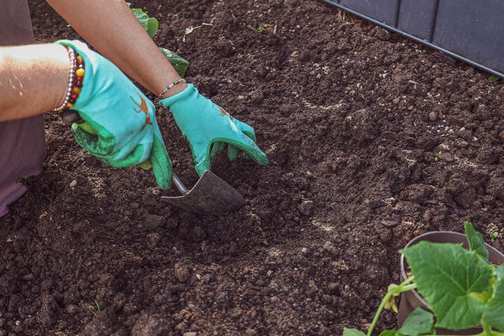 Gardener using a hand trowel to prepare rich soil in a garden bed, illustrating the best gardening soil mix for different planting areas.