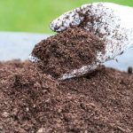 Hand holding fresh garden mulch for montane landscaping applications to improve soil moisture retention, plant health, and natural garden appearance.