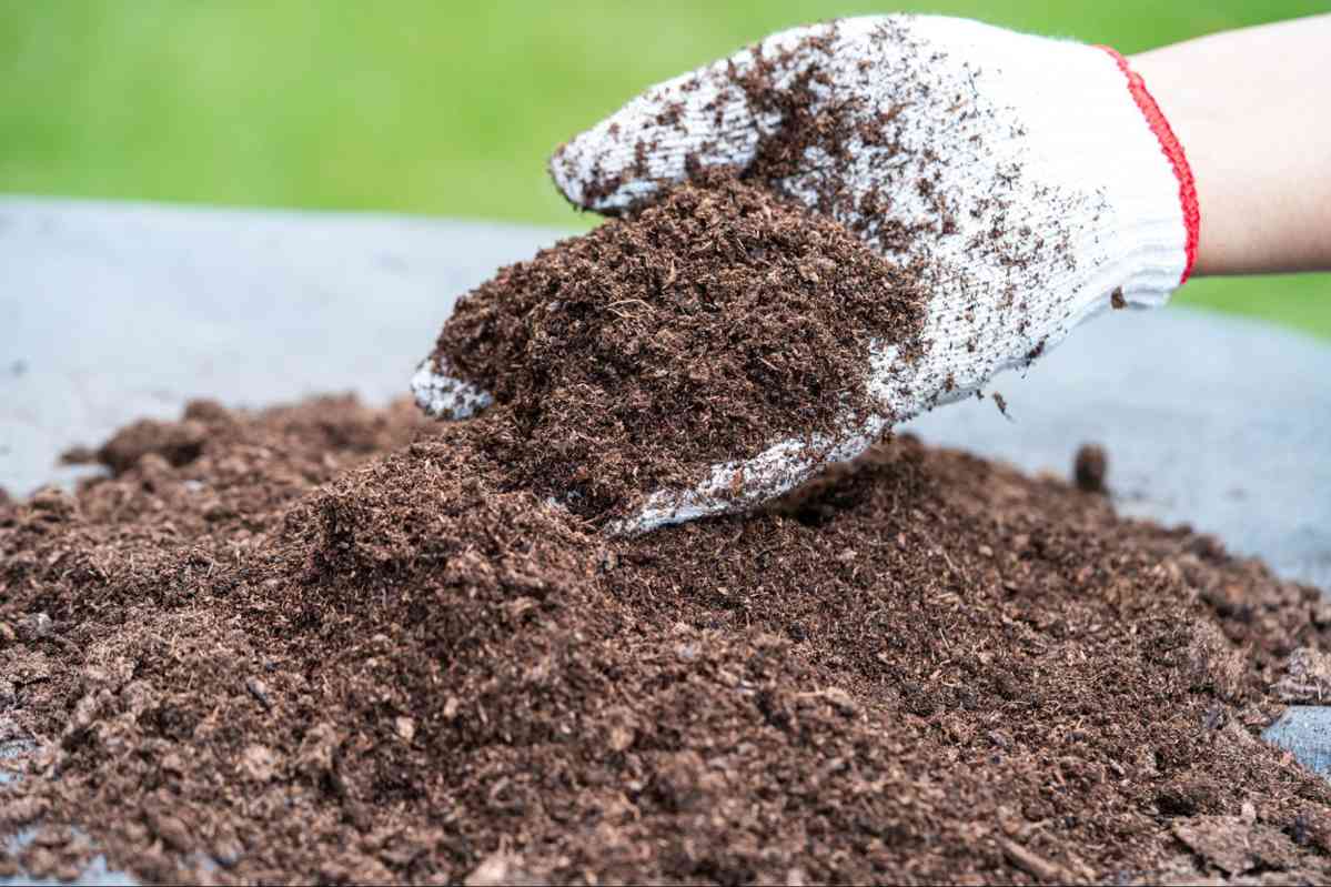 Hand holding fresh garden mulch for montane landscaping applications to improve soil moisture retention, plant health, and natural garden appearance.