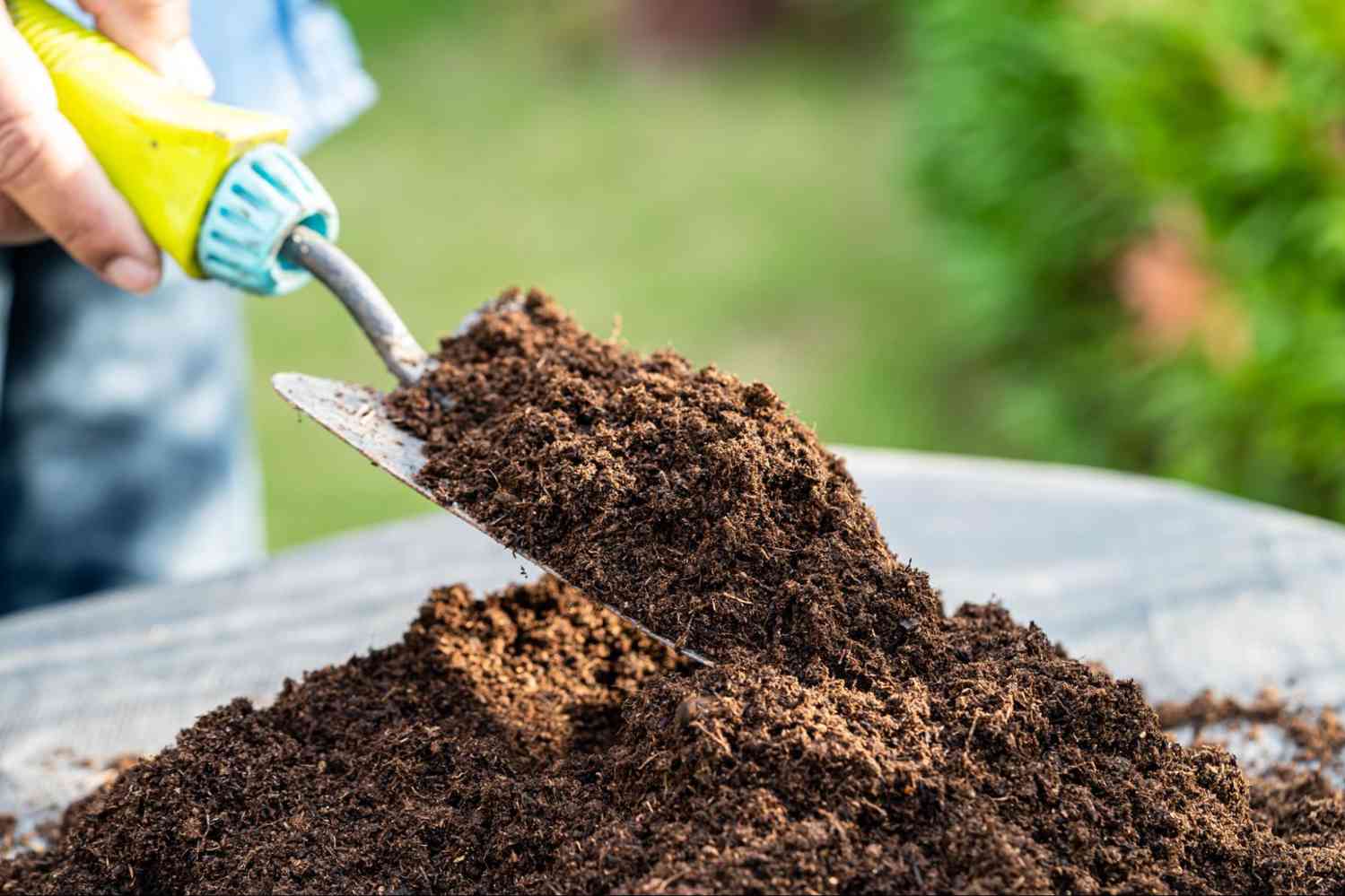 Hand holding fresh garden mulch for montane landscaping applications to improve soil moisture retention, plant health, and natural garden appearance.