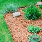 Compare cedar vs pine mulch for durability, aroma, weed control, moisture retention, and garden performance.