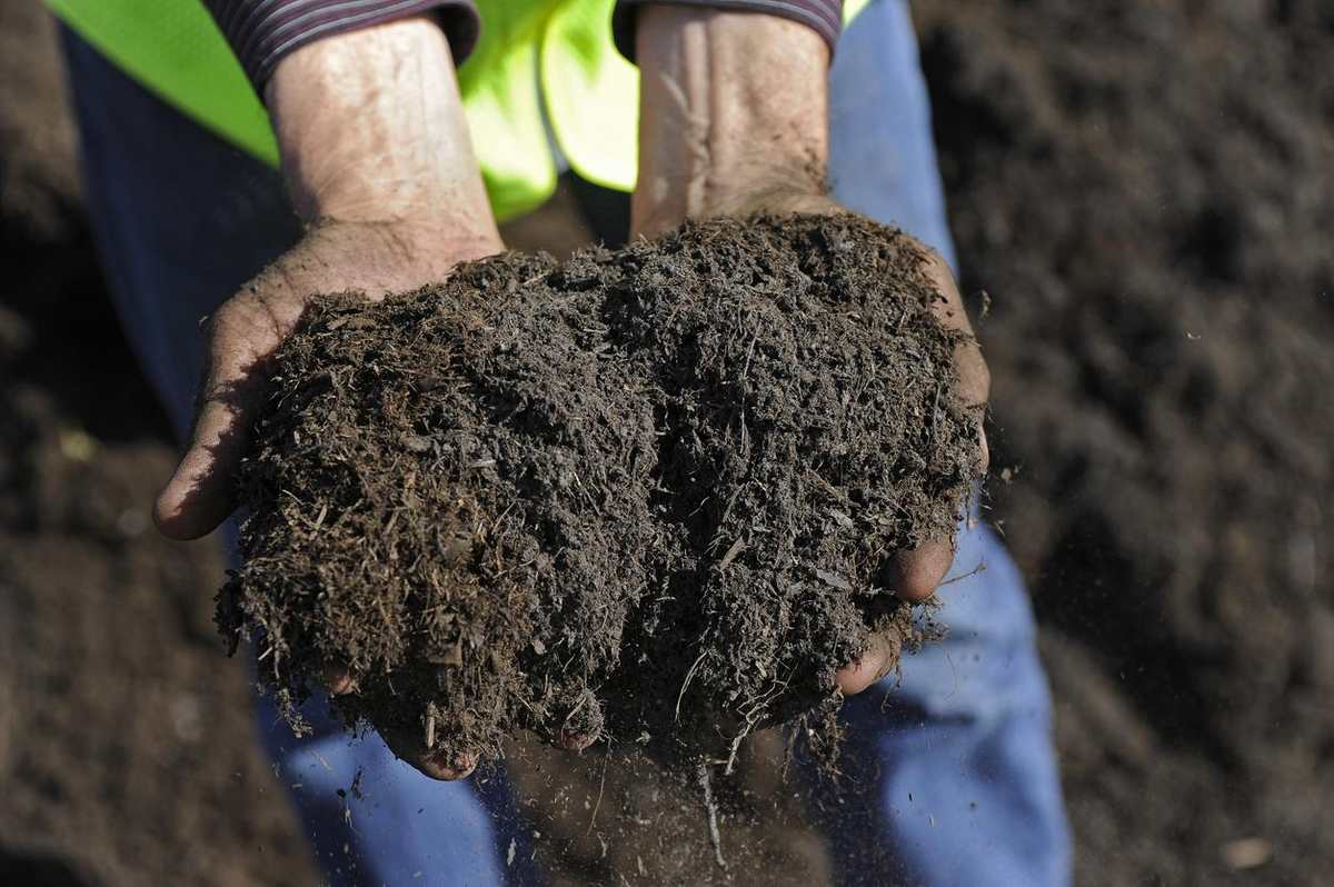 Hands holding a rich organic soil blend containing compost and organic matter for healthy garden growth.