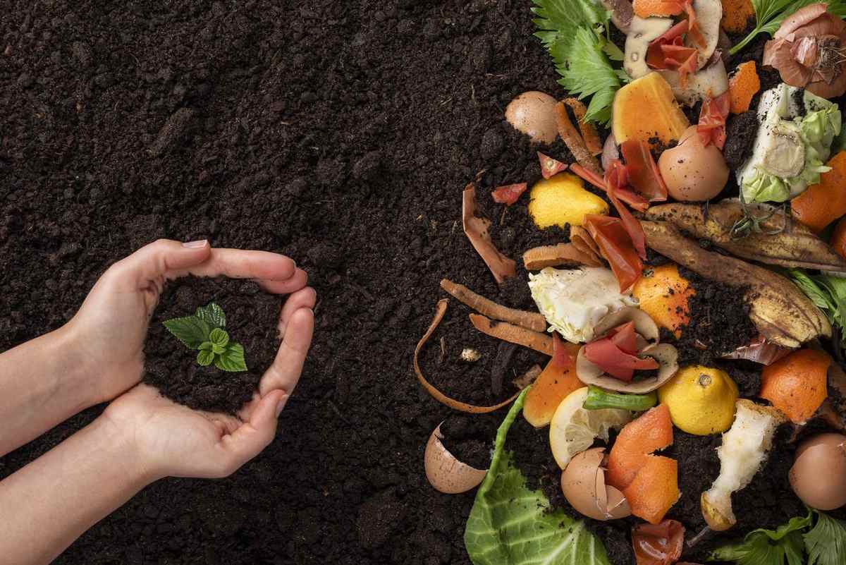 Food scraps and organic material added to healthy soil to show what a compost pile needs to work properly.